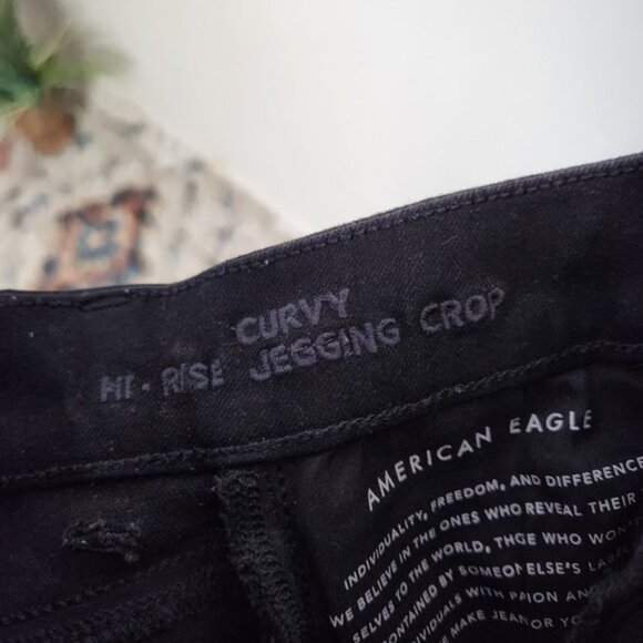 American Eagle The Dream Jean Black Curvy Hi-Rise Jegging Crop Jeans Button fly - Picture 10 of 11